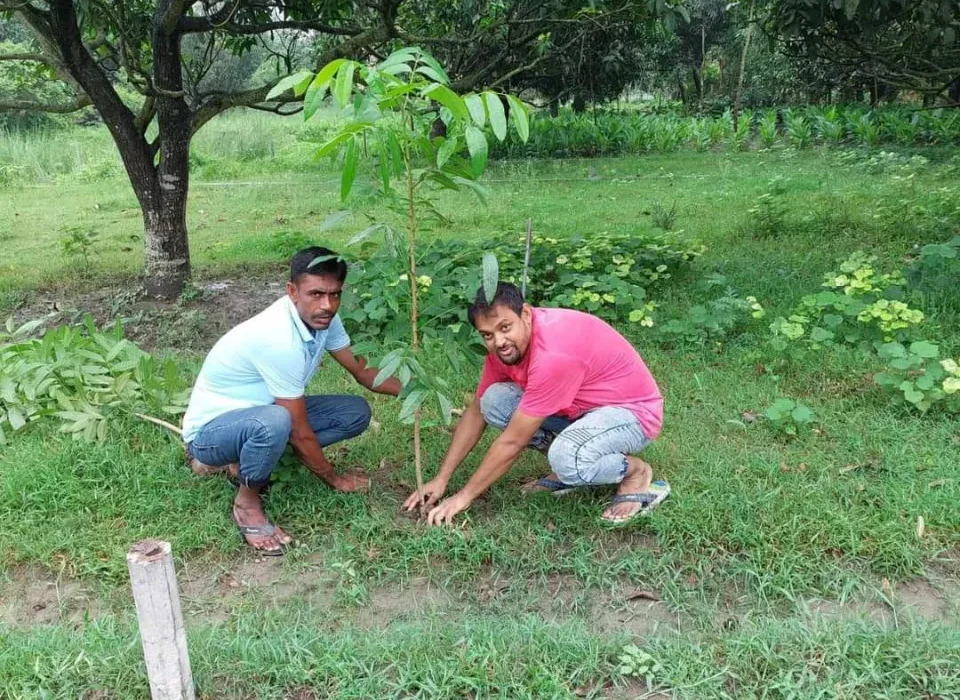 WhatsApp Image 2024-11-05 at 3.21.48 PM